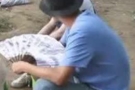 五营贷款清欠服务